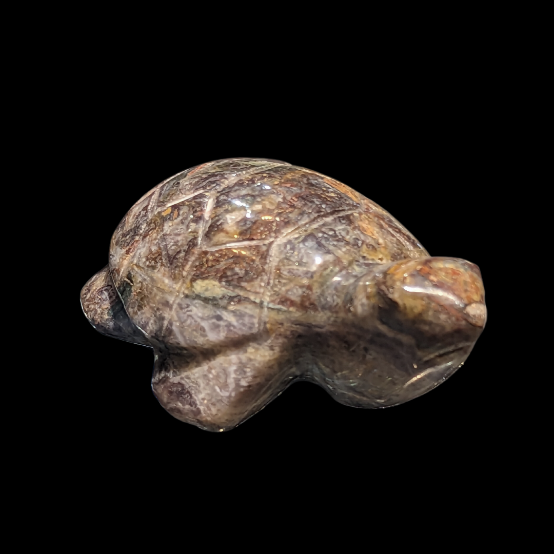 Amethyst Turtle