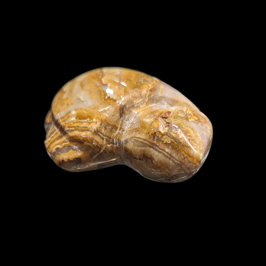Agate Carved Turtle