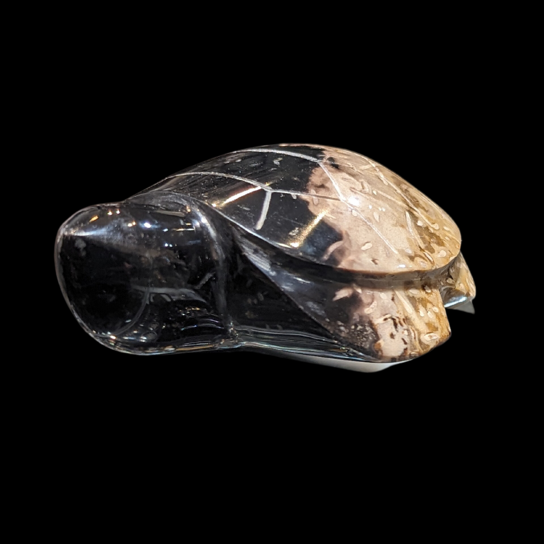 Petrified Palm Wood Carved Turtle