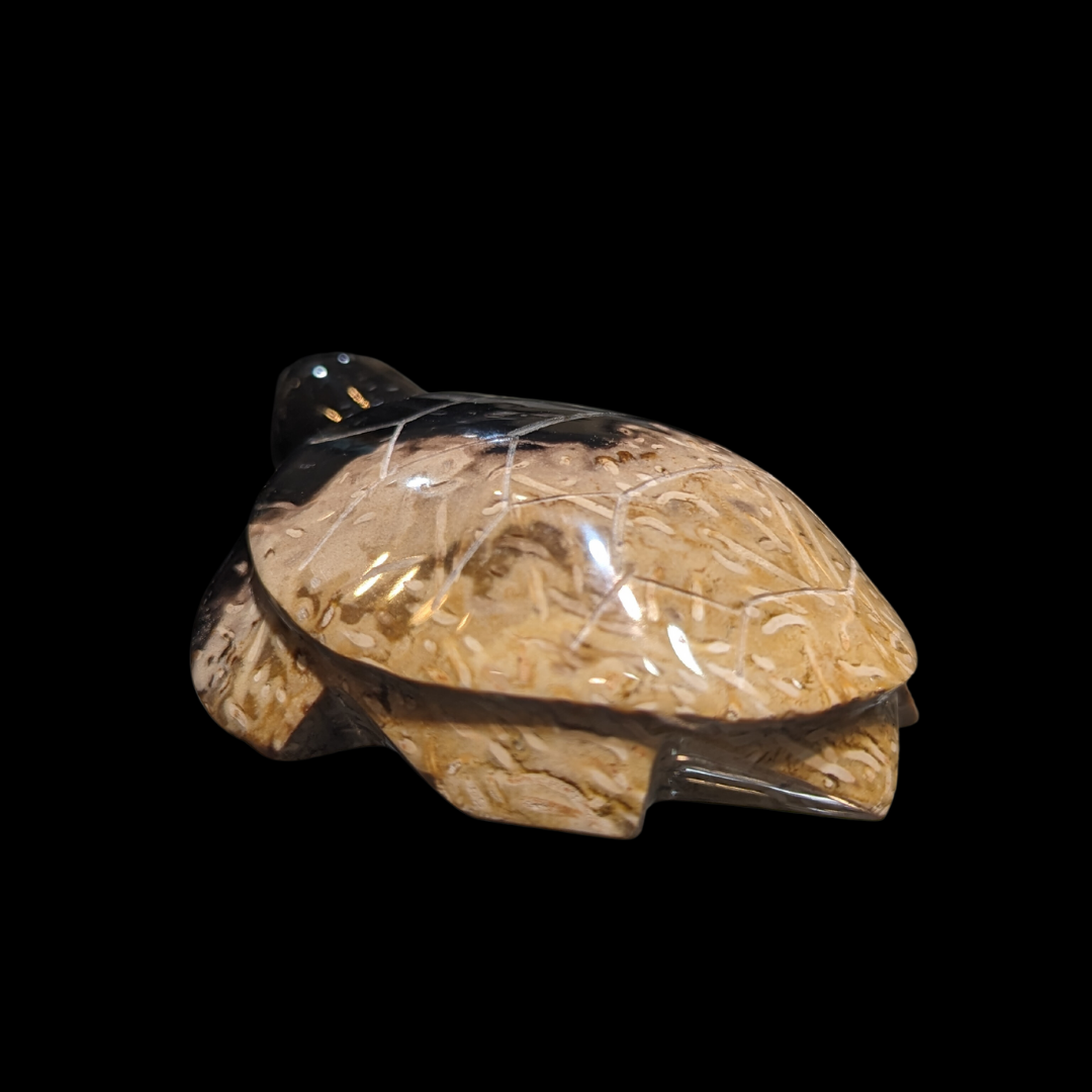 Petrified Palm Wood Carved Turtle