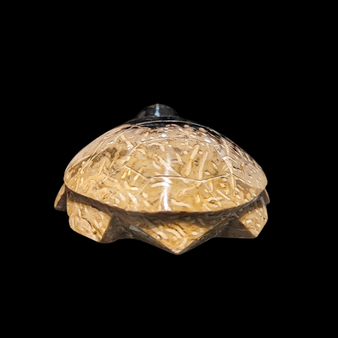 Petrified Palm Wood Carved Turtle