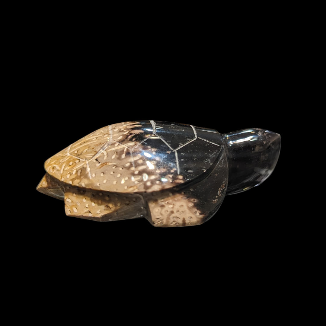 Petrified Palm Wood Carved Turtle