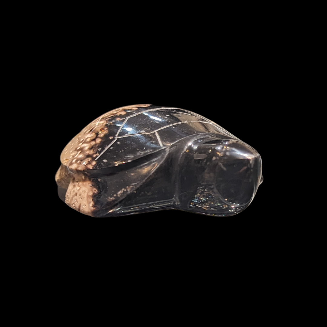 Petrified Palm Wood Carved Turtle