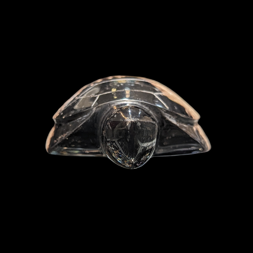 Petrified Palm Wood Carved Turtle