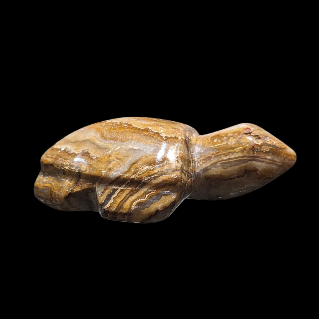 Agate Carved Turtle
