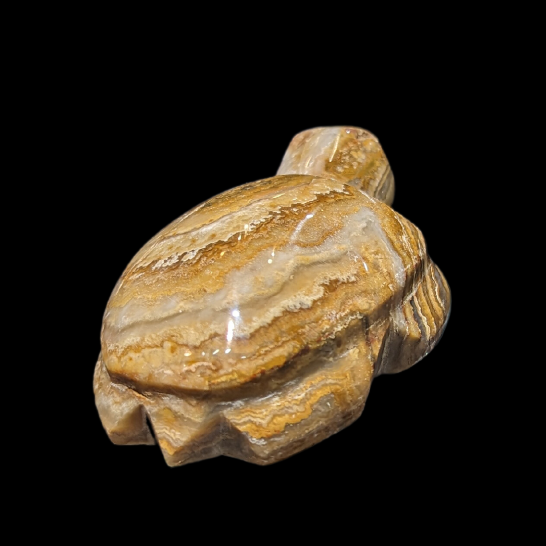 Agate Carved Turtle