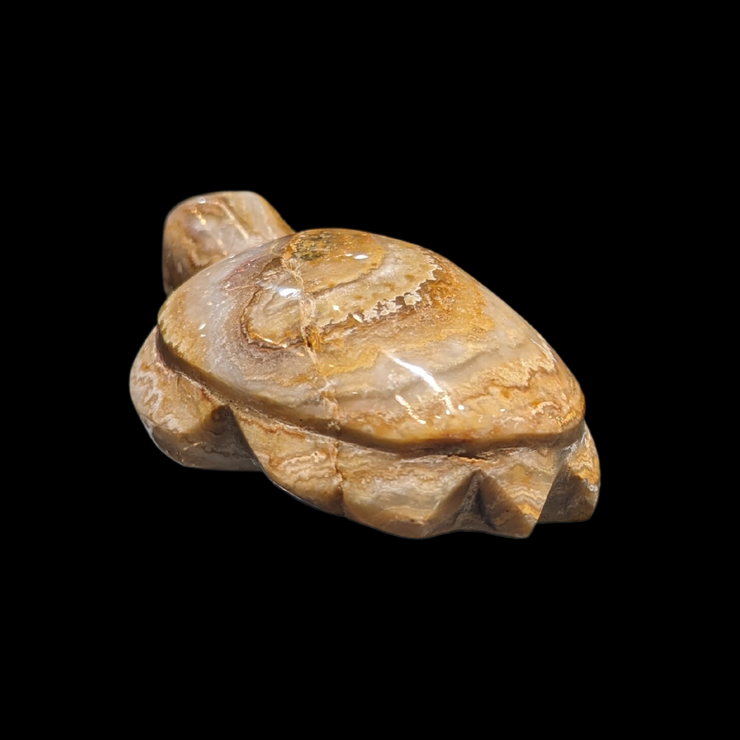 Agate Carved Turtle