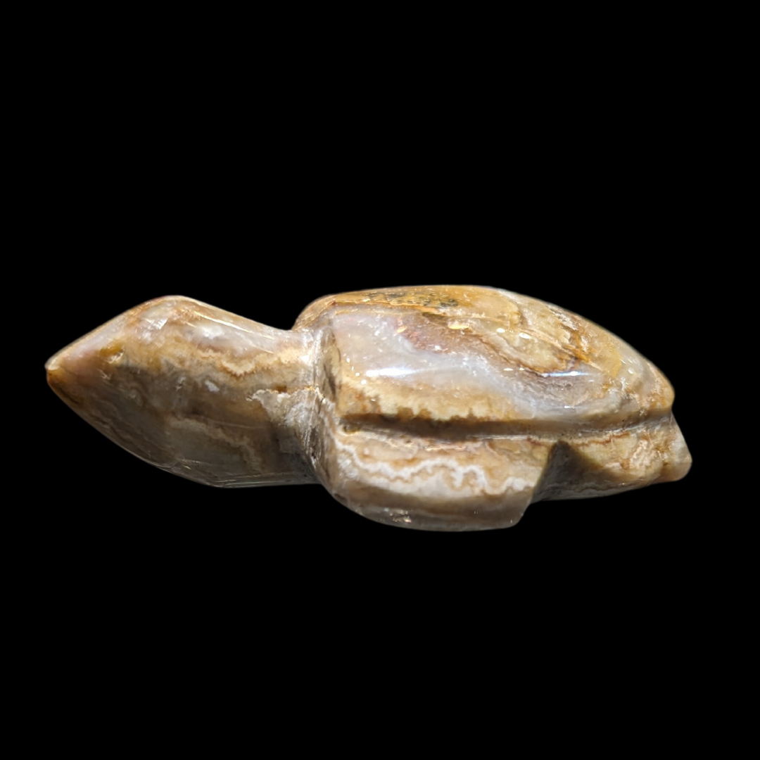 Agate Carved Turtle