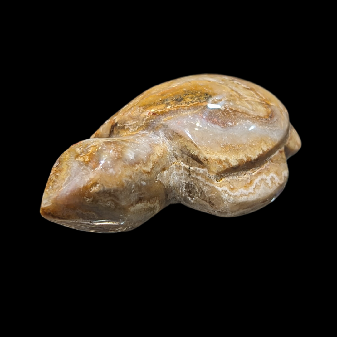 Agate Carved Turtle