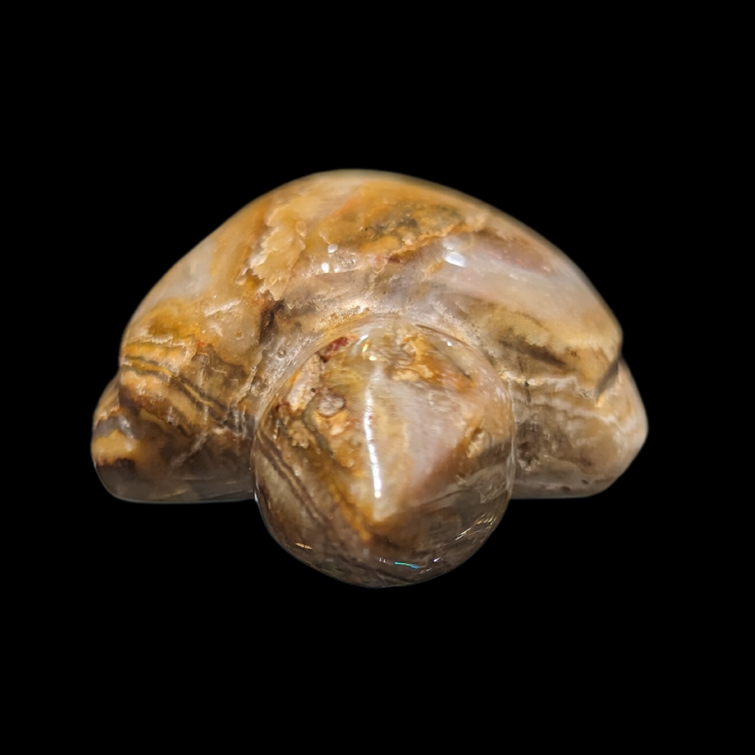 Agate Carved Turtle