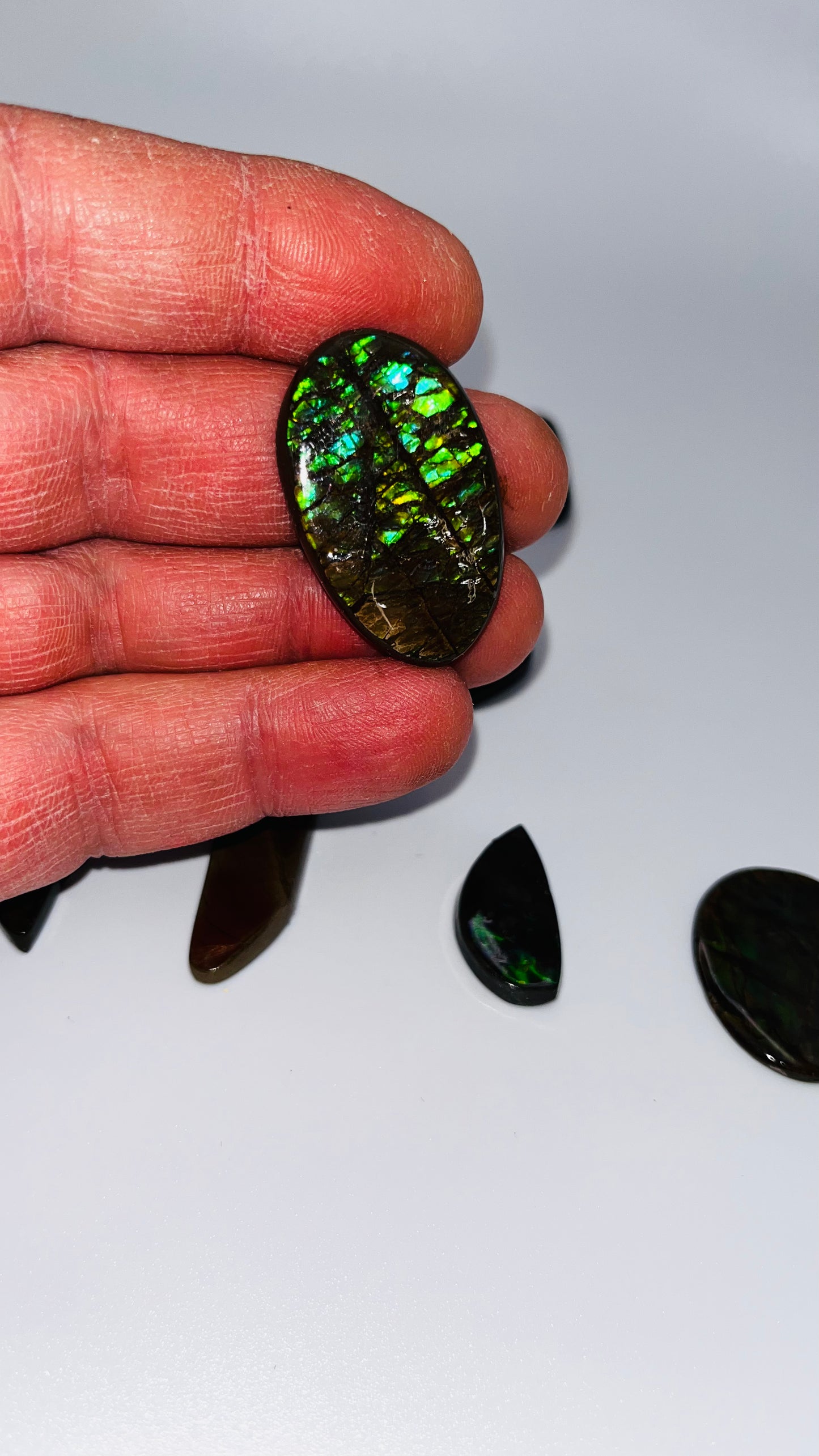 Ammolite gemstones b grade (cabochons)