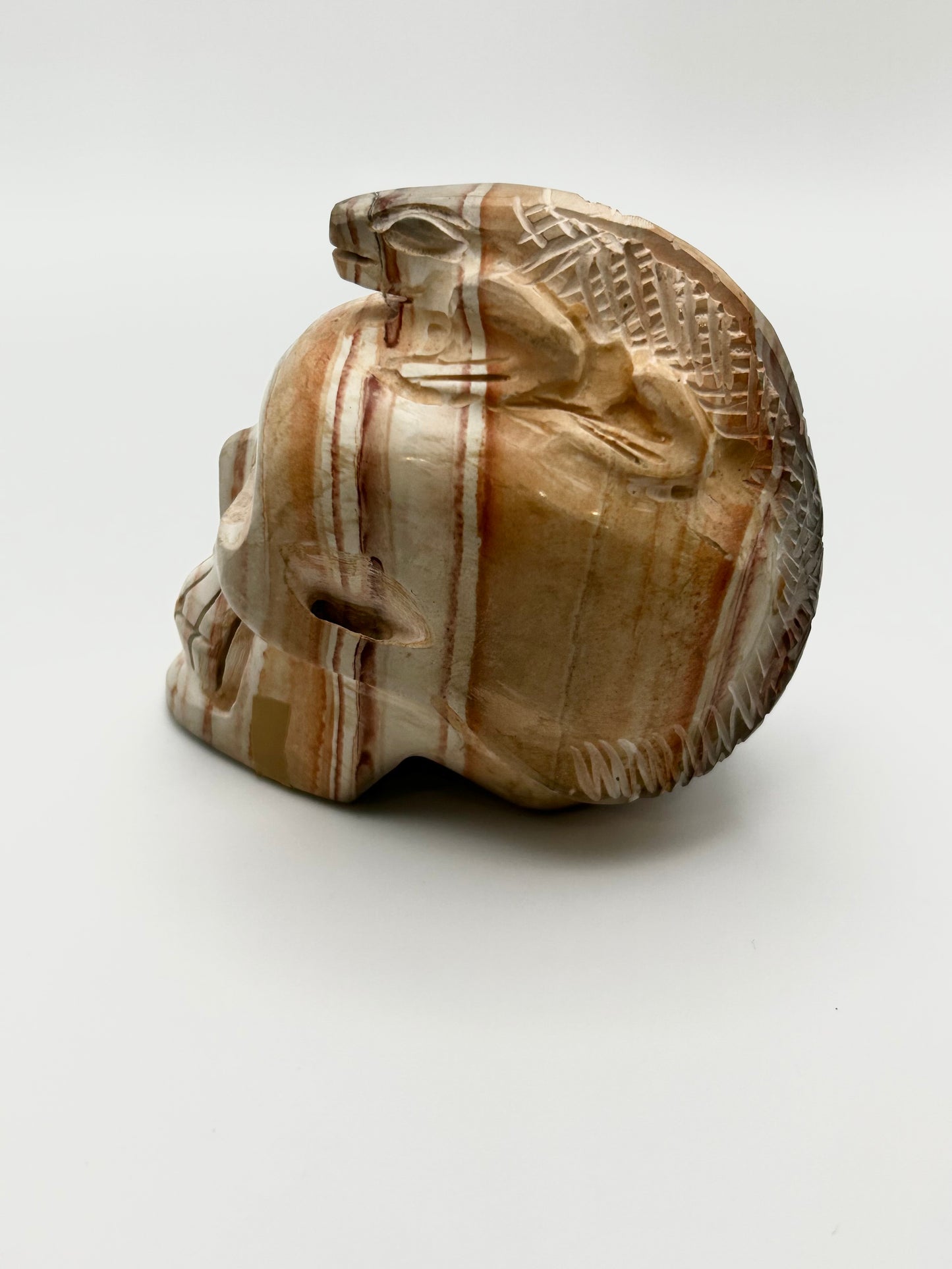 Rainbow Jasper Skull Head with Lizard