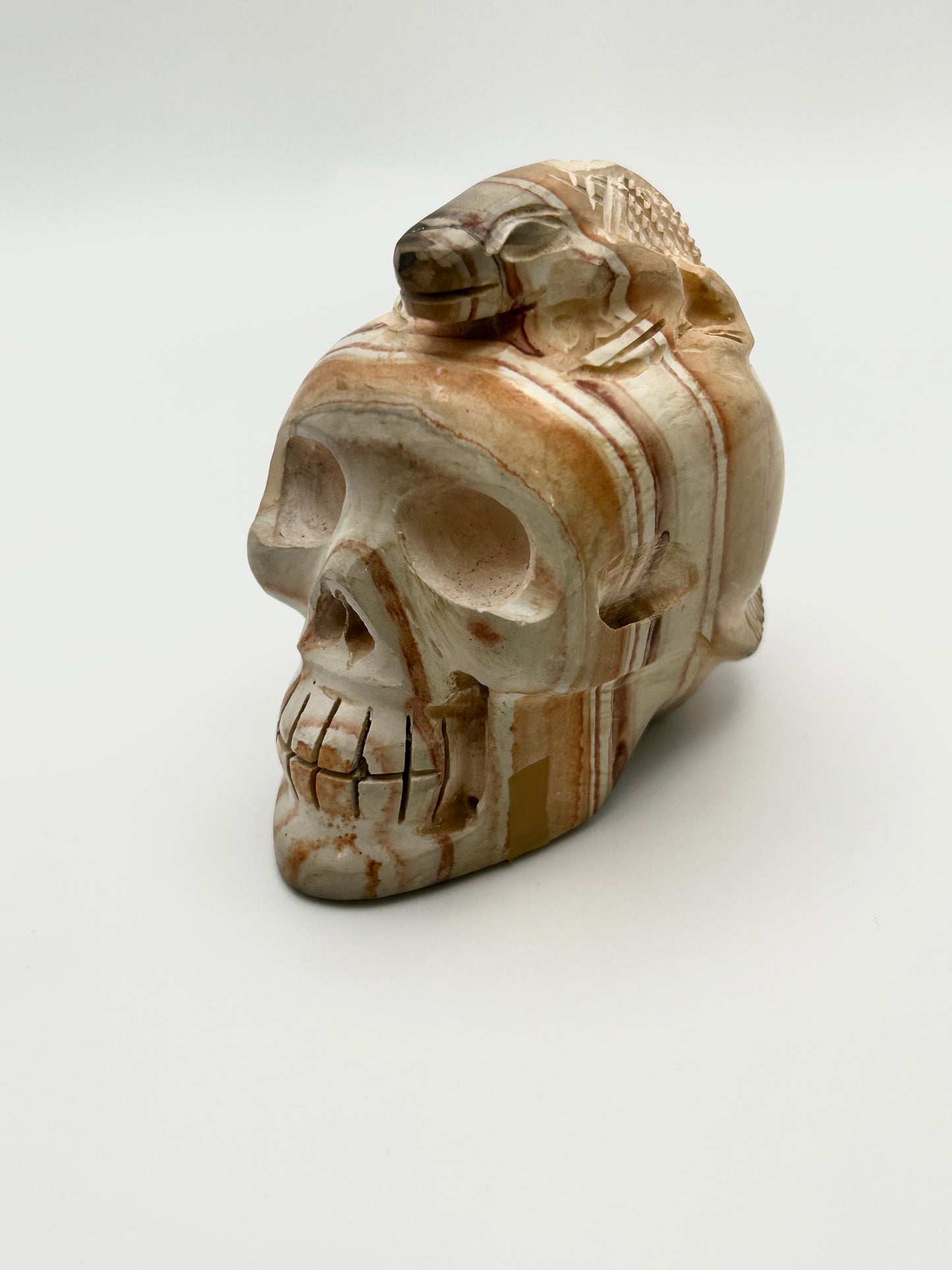 Rainbow Jasper Skull Head with Lizard