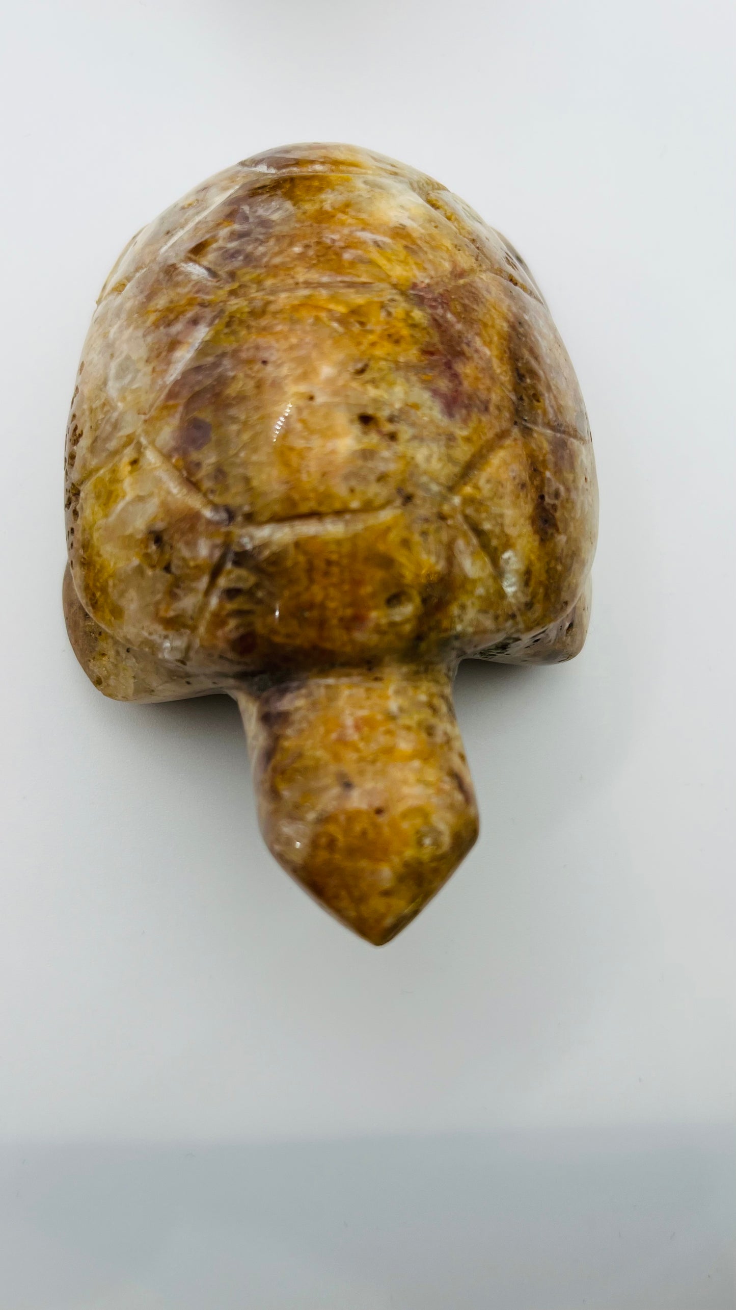 Amethyst Turtle