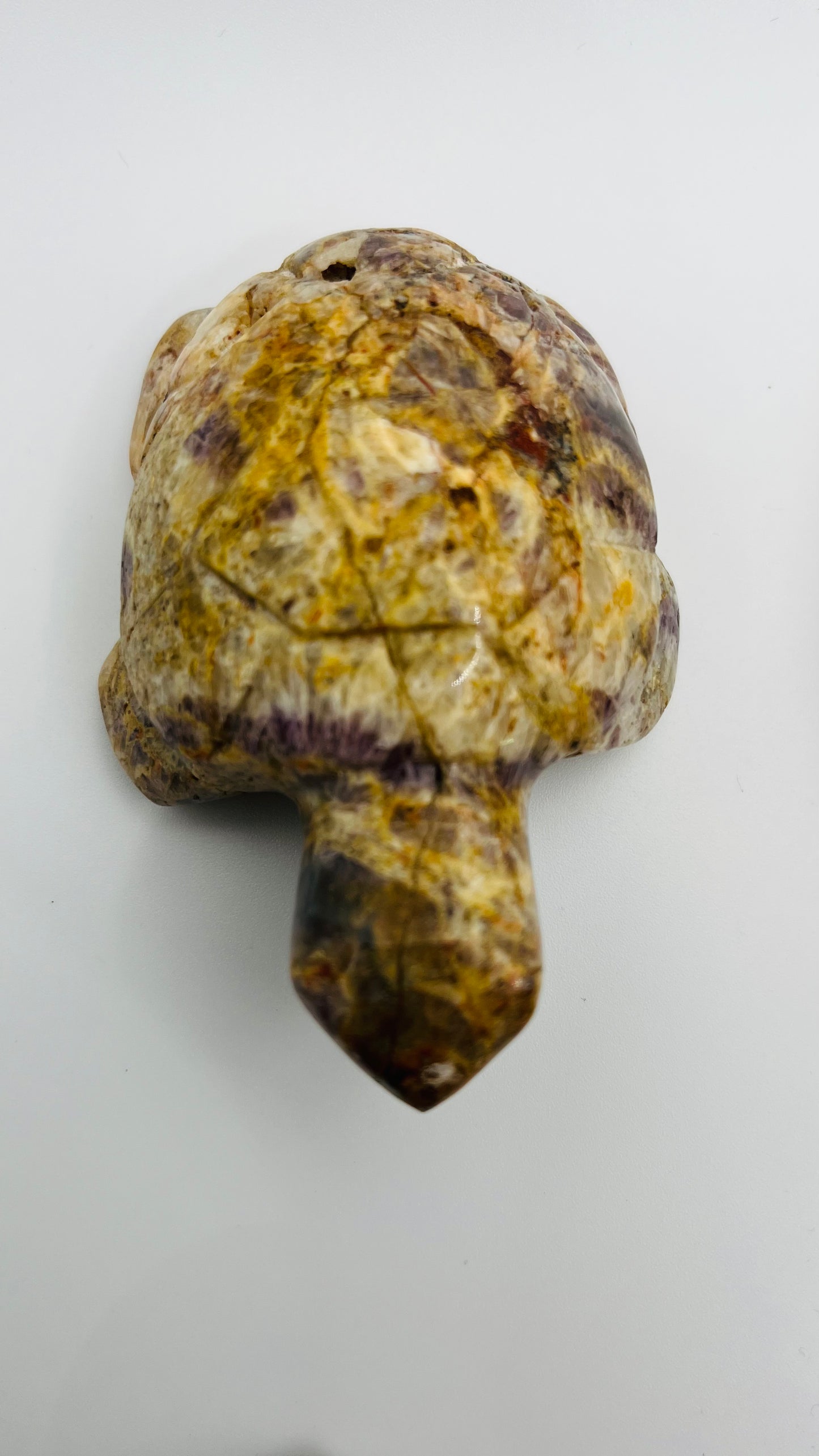 Amethyst Turtle