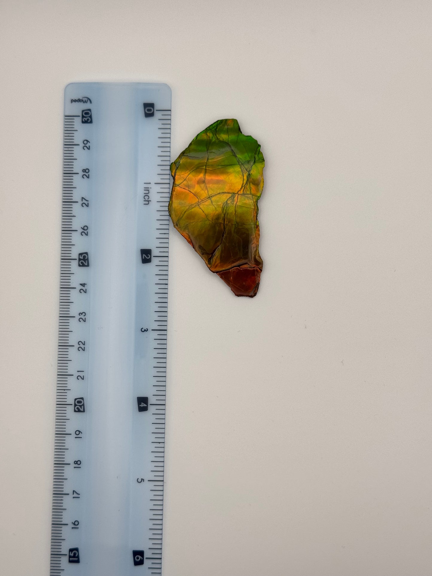 yellow green ammolite specimen