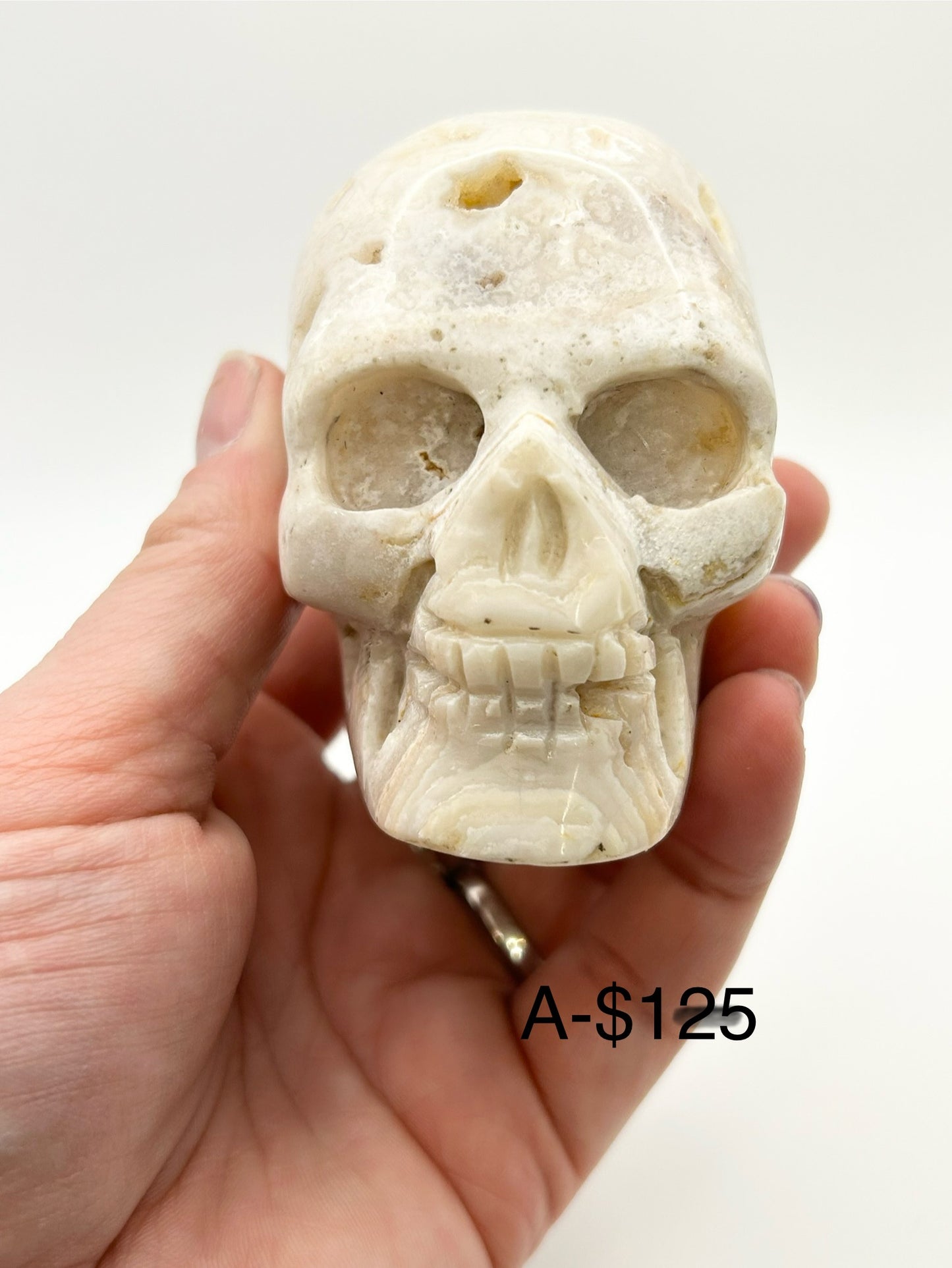 Crazy Lace Druzy Skull Heads