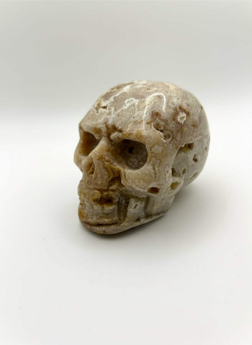 Crazy Lace Druzy Skull Heads