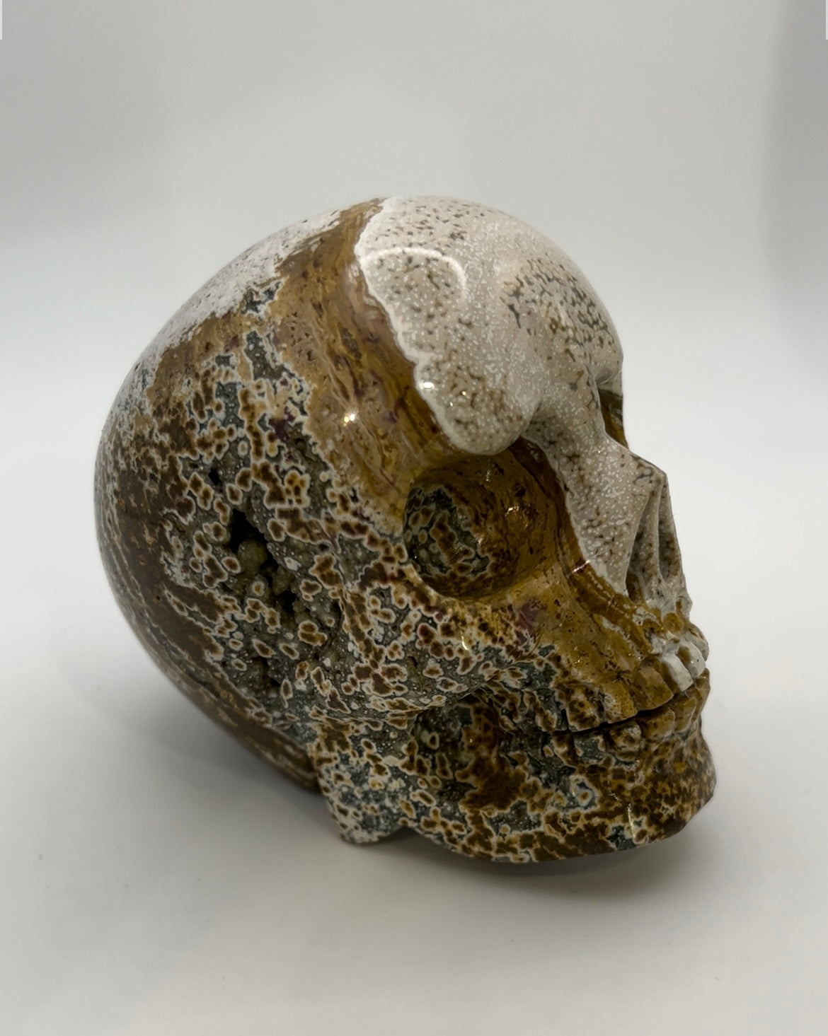 Ocean Jasper Skull Head
