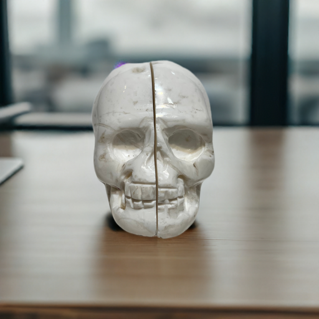 Chalcedony Druzy (Snow Druzy) Skull Carving