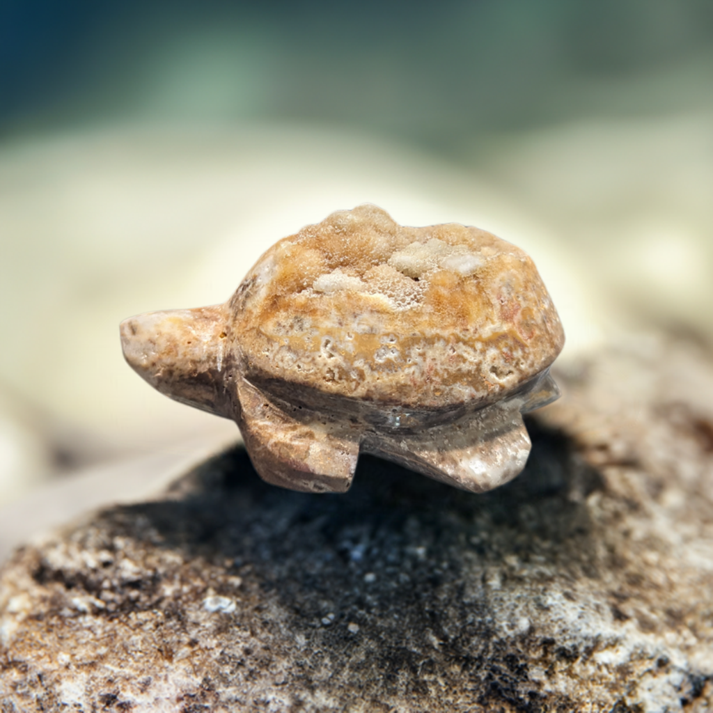 Geode Carving Turtle