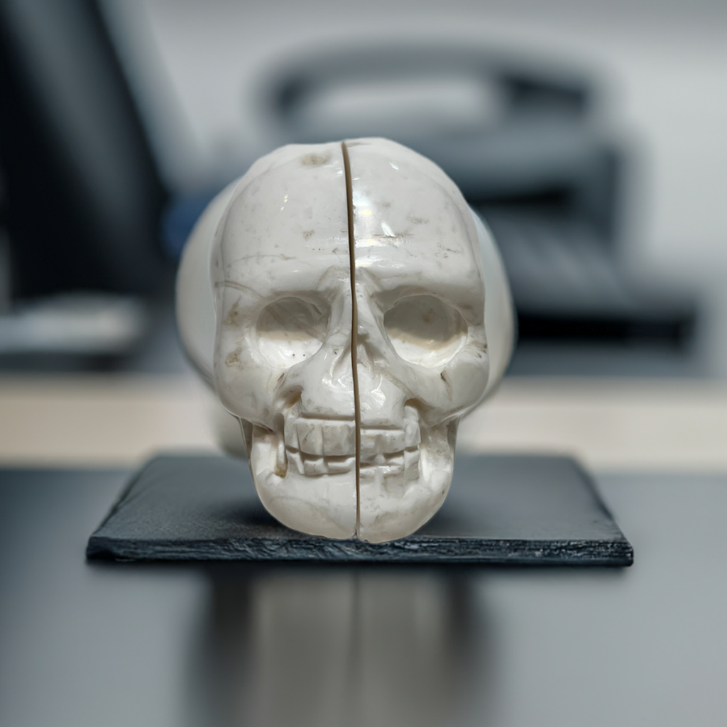 Chalcedony Druzy (Snow Druzy) Skull Carving