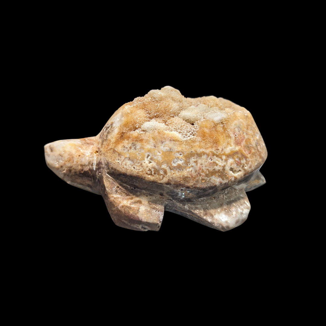 Geode Carving Turtle