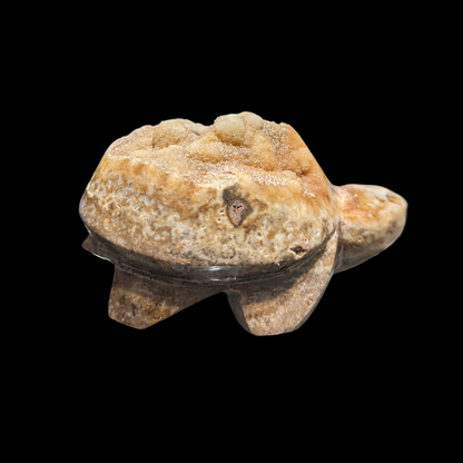 Geode Carved Turtle
