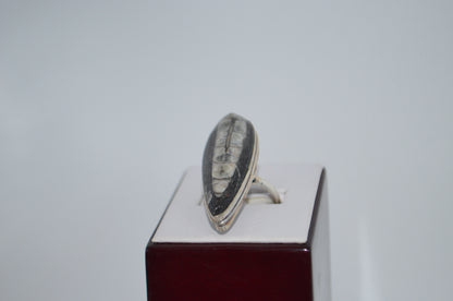 fossil ring