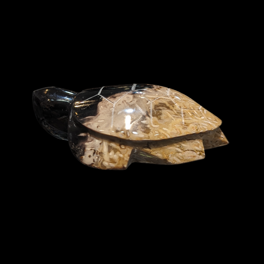 Petrified Palm Wood Carved Turtle