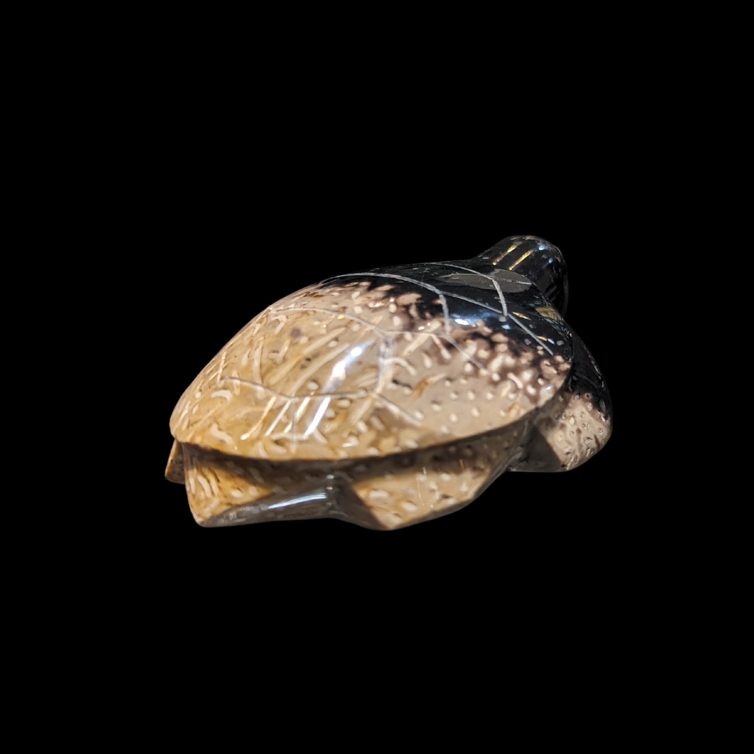 Petrified Palm Wood Carved Turtle