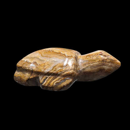Agate Carved Turtle