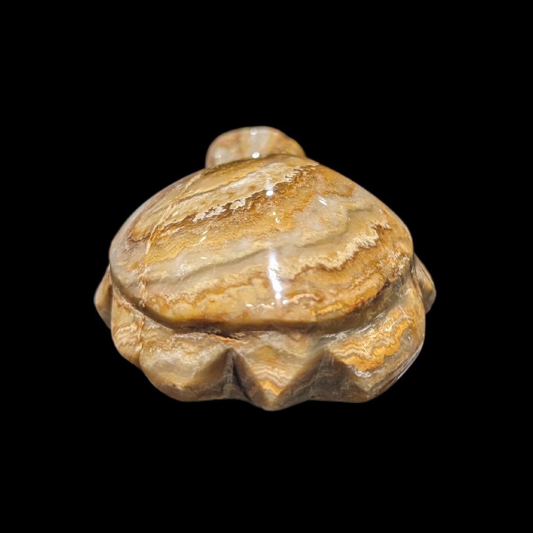 Agate Carved Turtle
