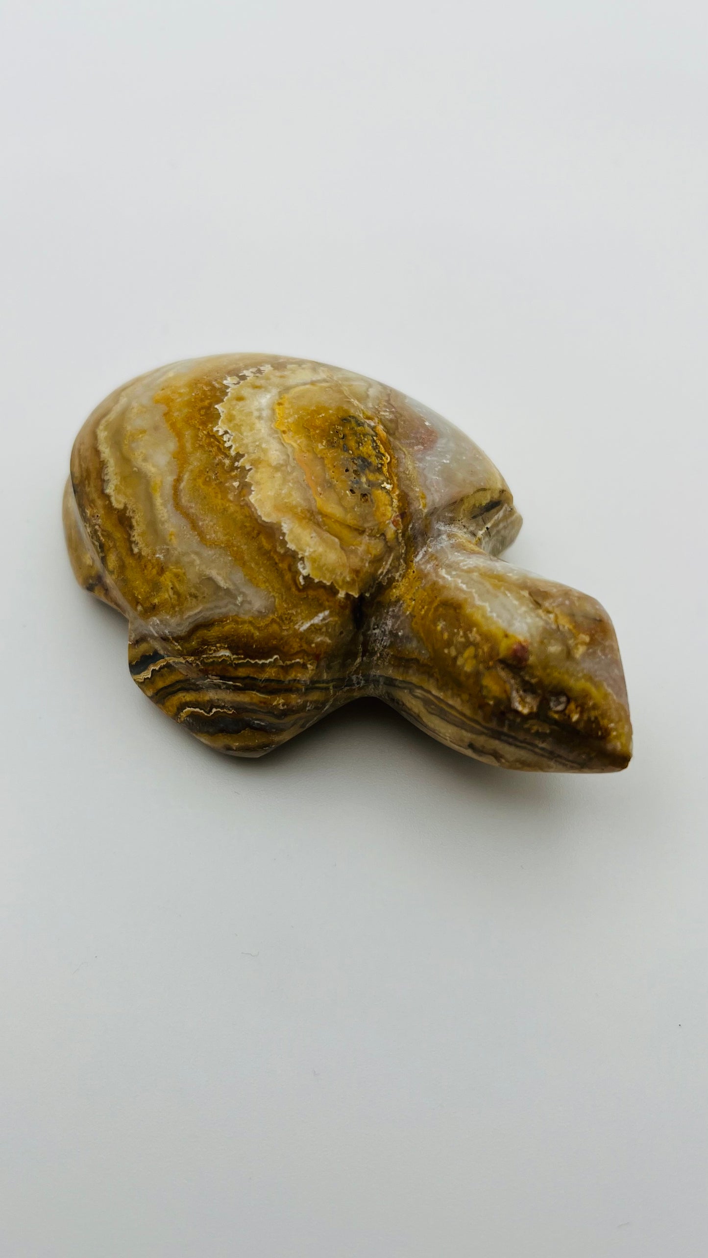 Agate Carved Turtle