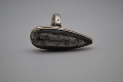 fossil ring