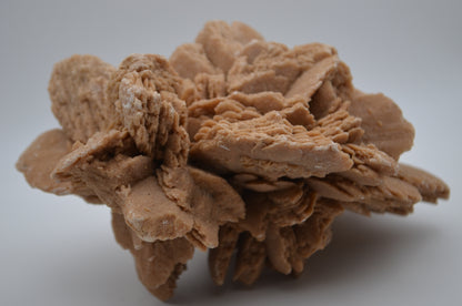 desert rose