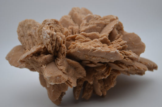 desert rose