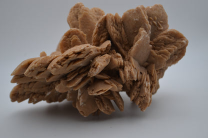desert rose
