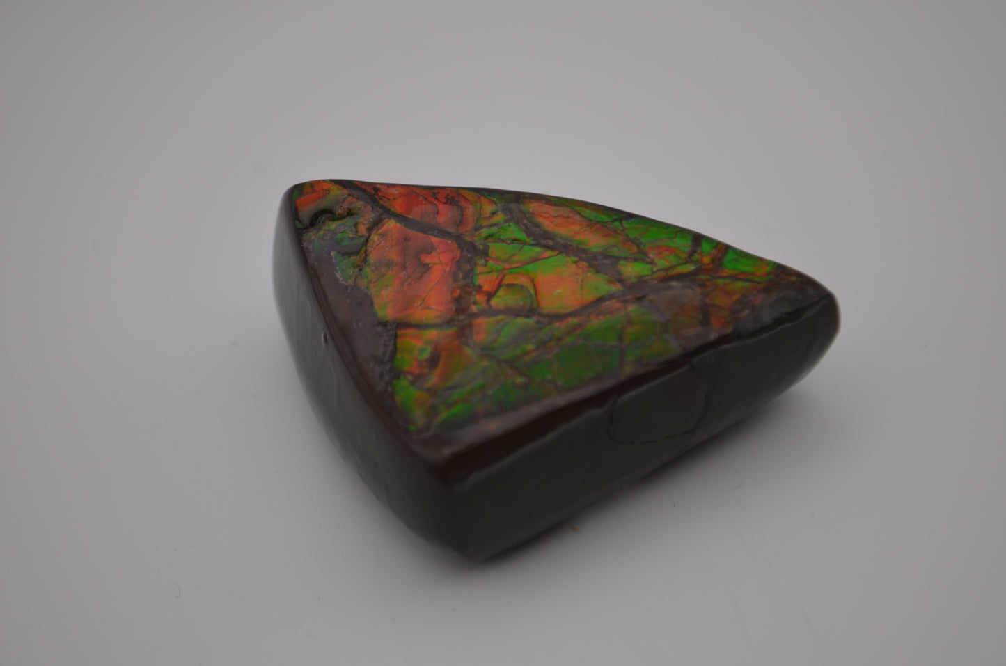 Ammolite palm stone