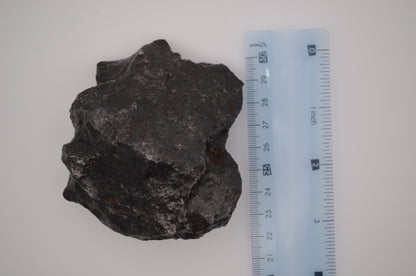 Meteorite