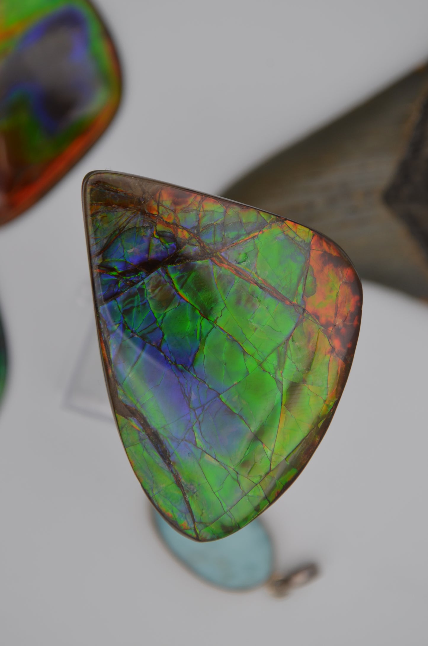pristine Ammolite Gem