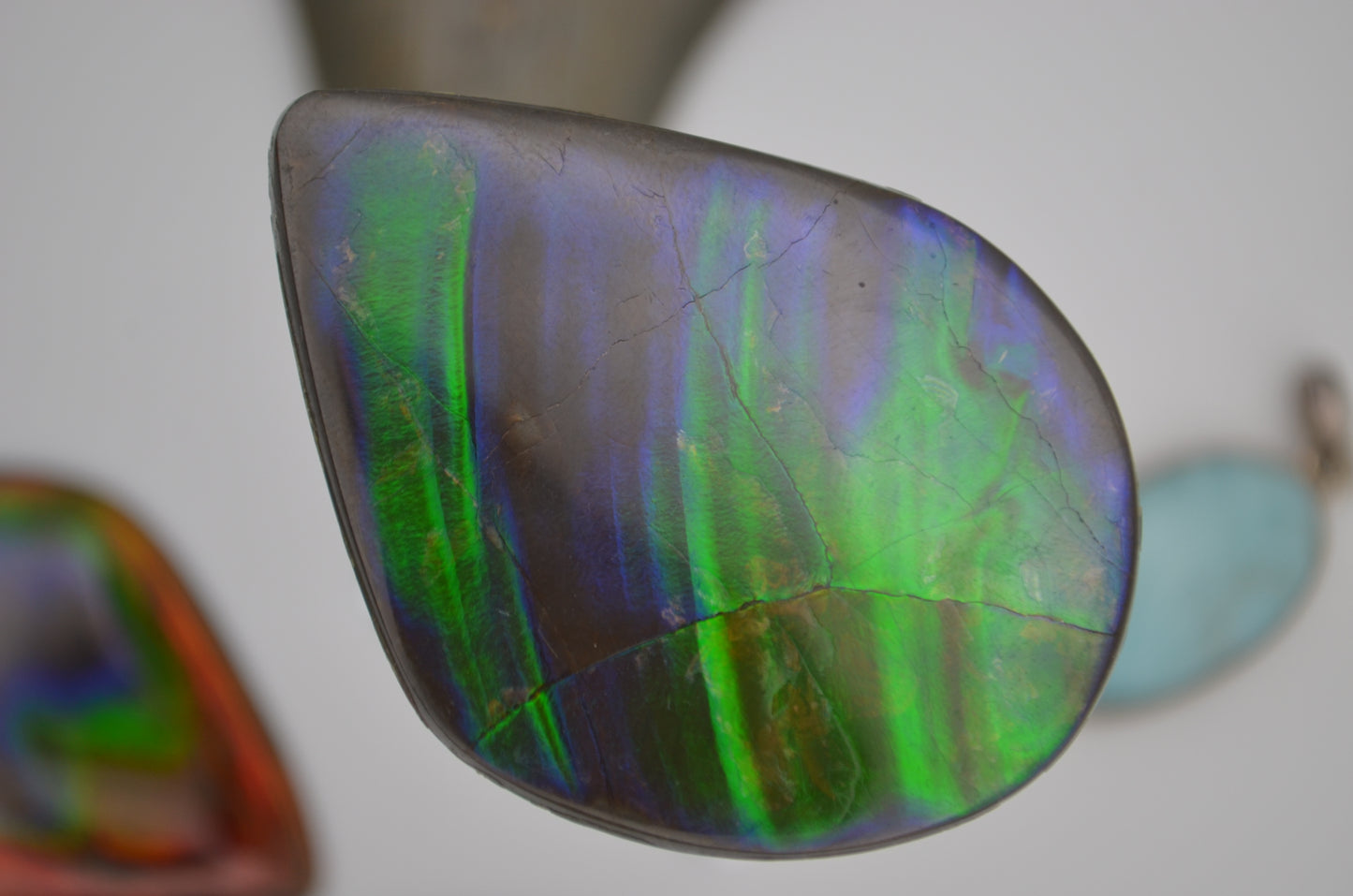 Wave ammolite
