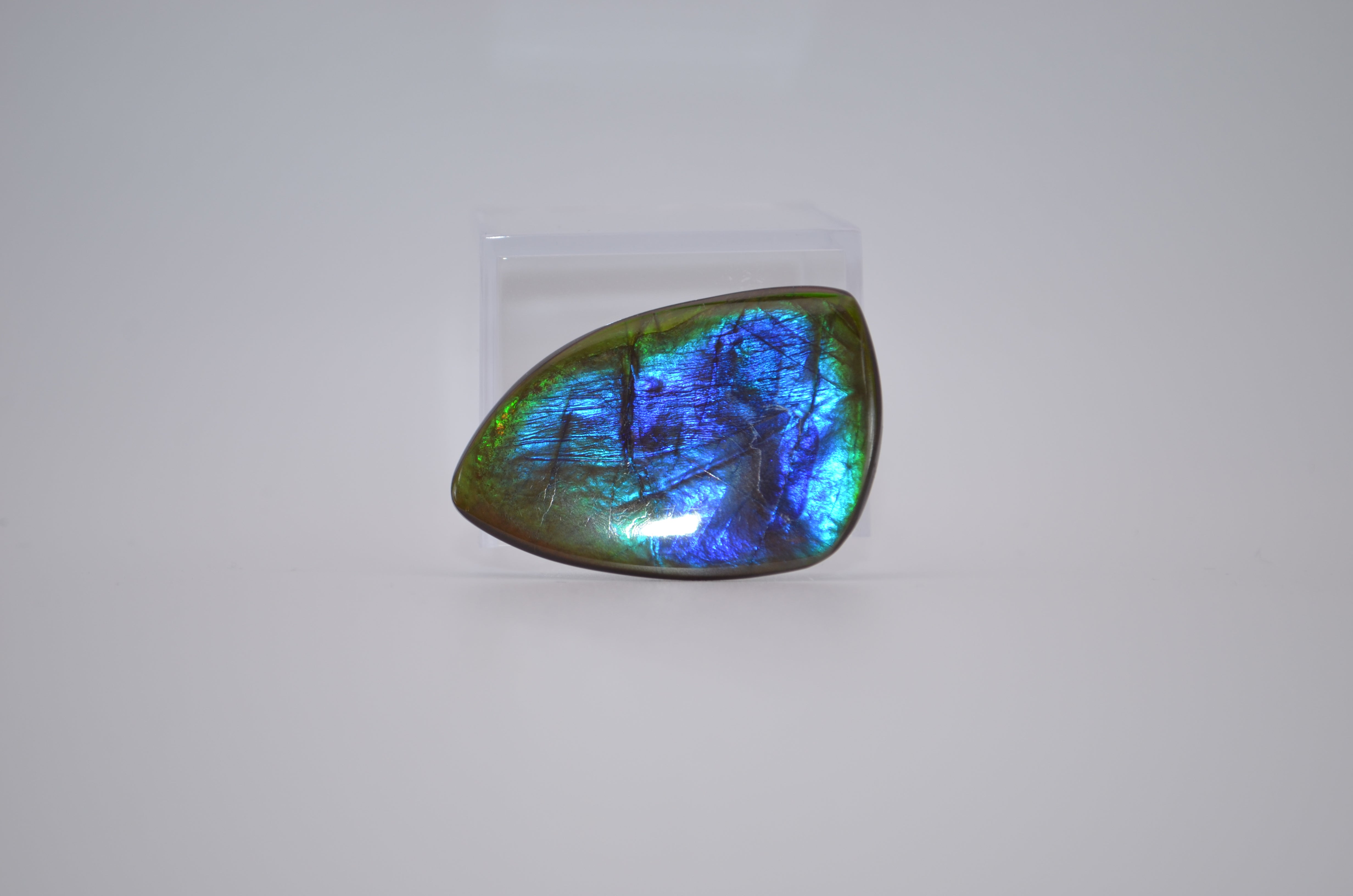 All ammolite – Nanaimo Rock and Gem