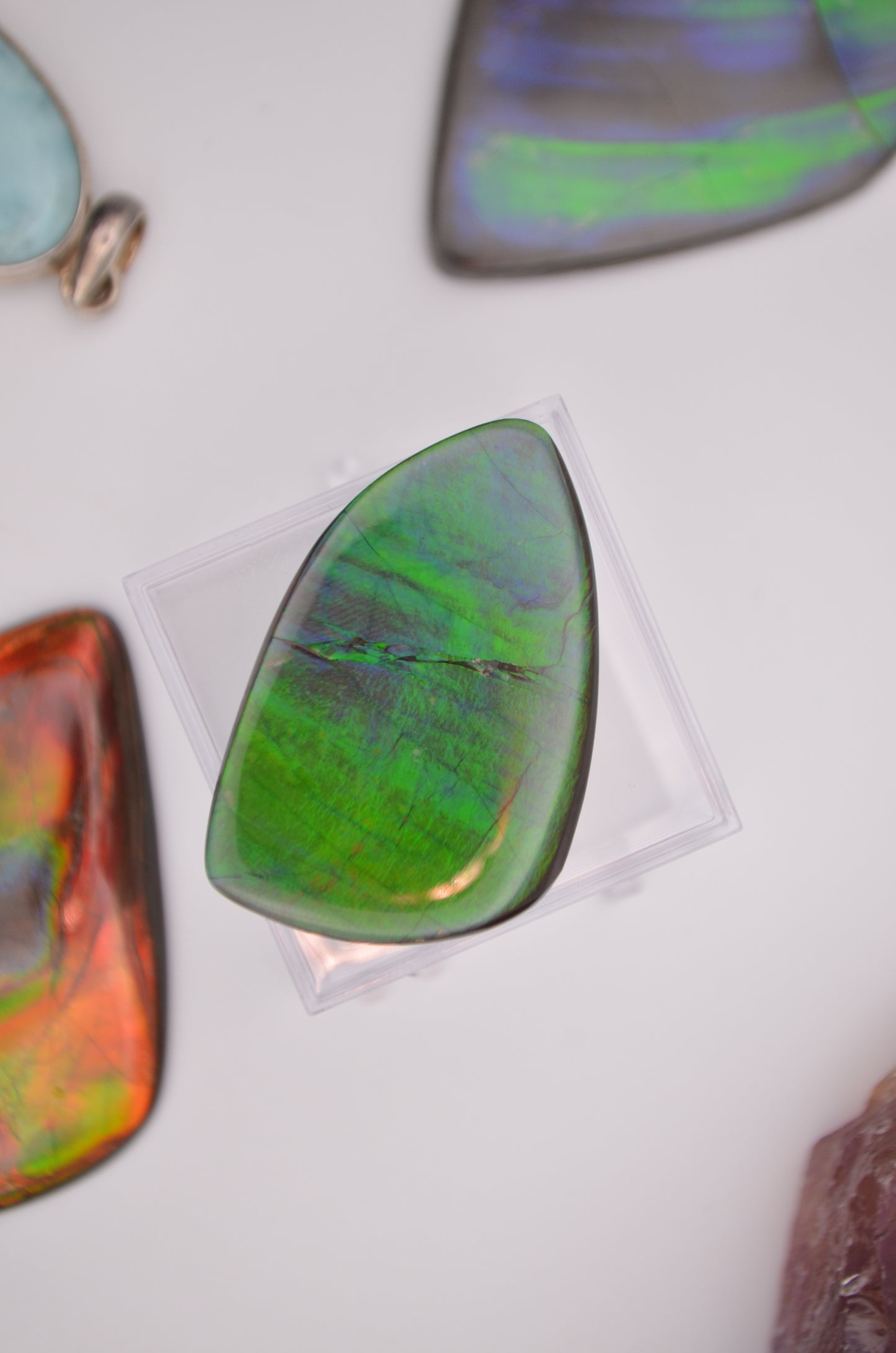 Imperial ammolite