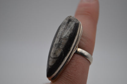 fossil ring