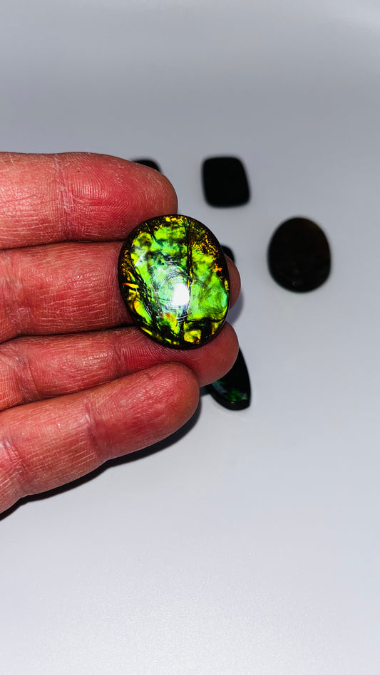 Ammolite gemstones b grade (cabochons)