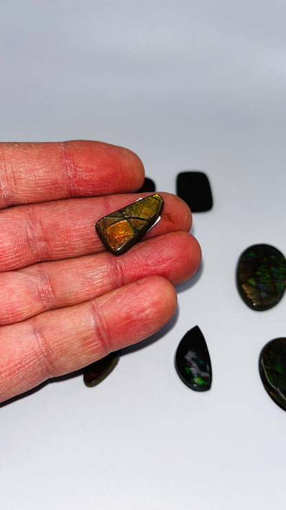 Ammolite gemstones b grade (cabochons)