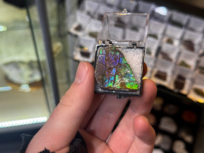 AMMOLITE collectables