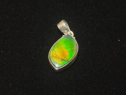 ammolite pendant