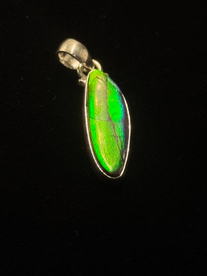 ammolite pendant